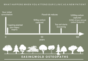 Blog. Tree planting scheme